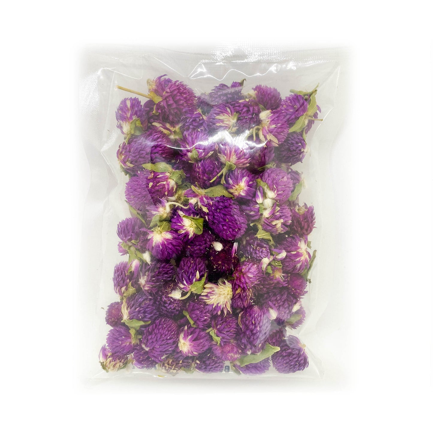 Gomphrena Globosa Flower 家鄉味 千日紅