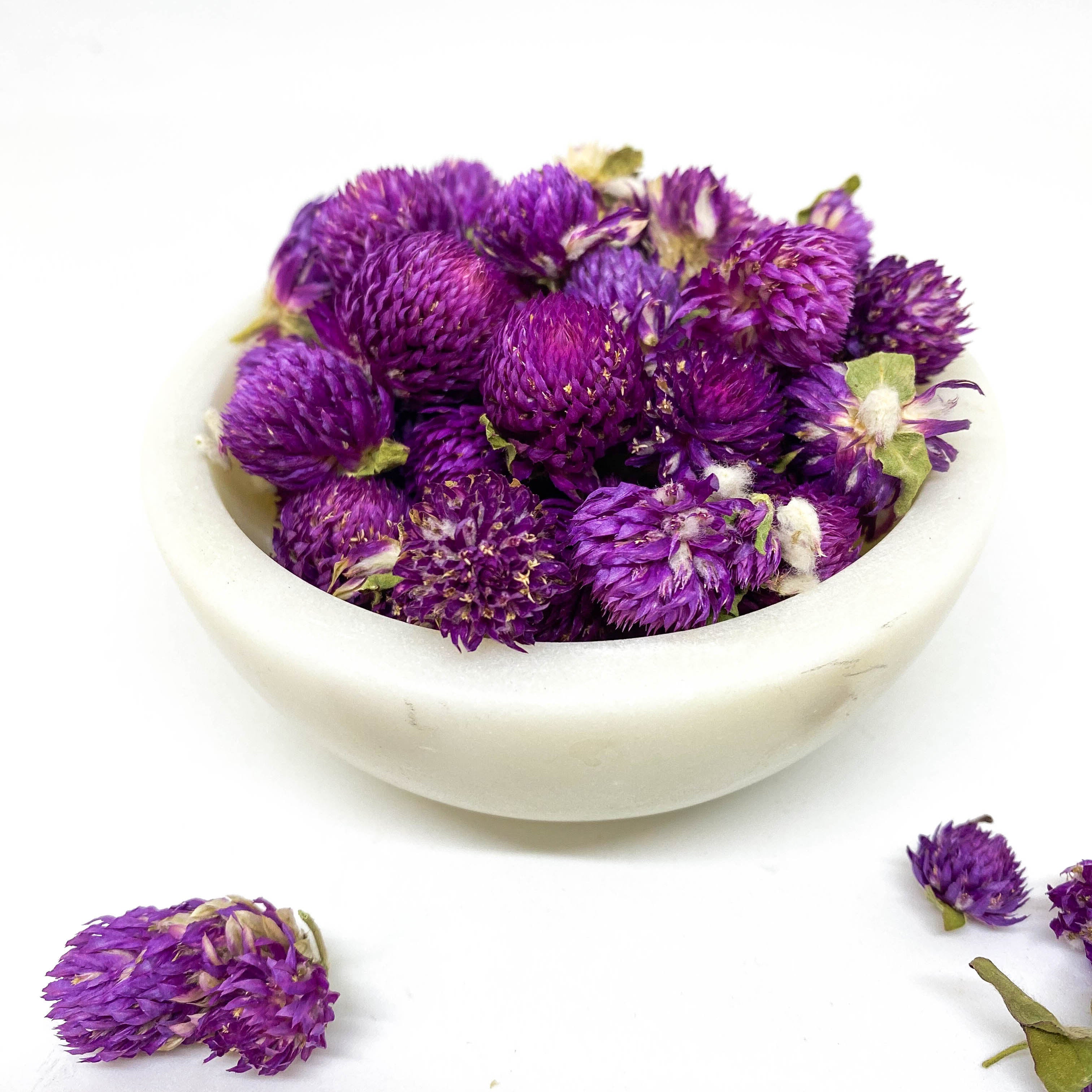 Gomphrena Globosa Flower 家鄉味 千日紅